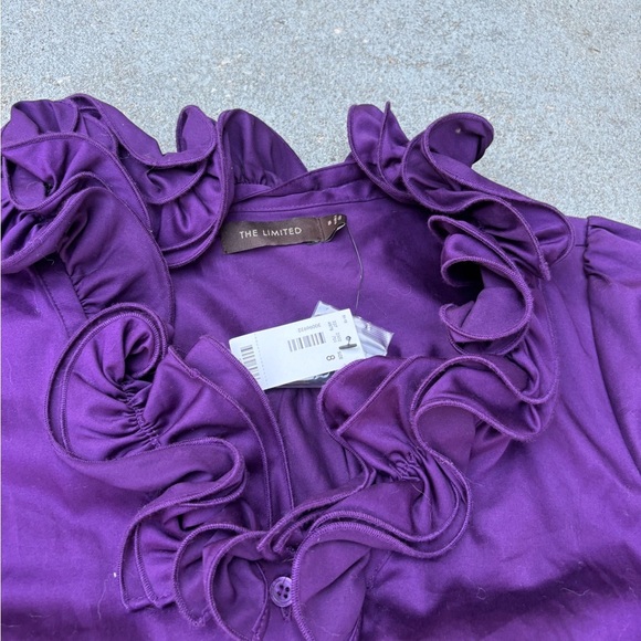 The Limited Rich Purple Ruffle Dress - Picture 3 of 4